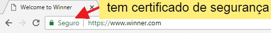 winner é confiável e seguro