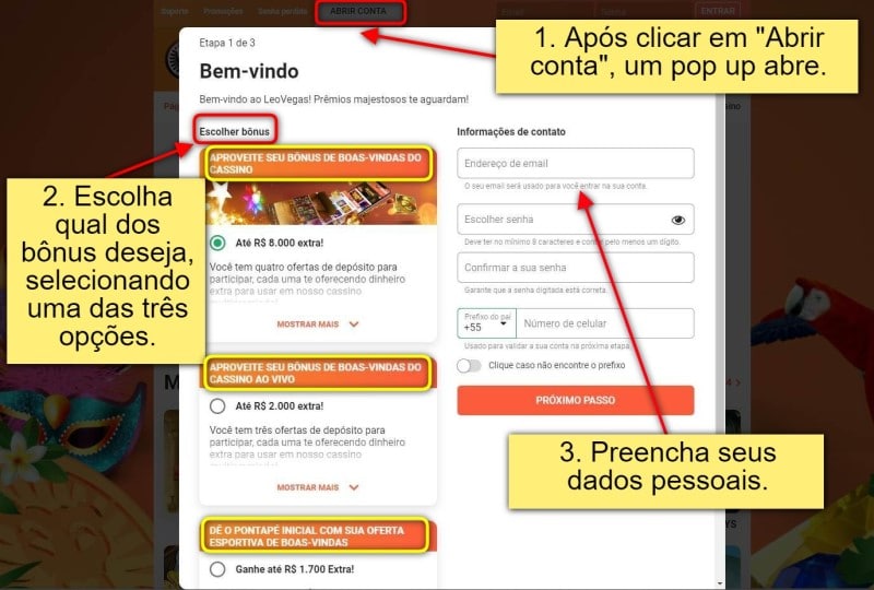 Passo a passo para obter o bônus LeoVegas